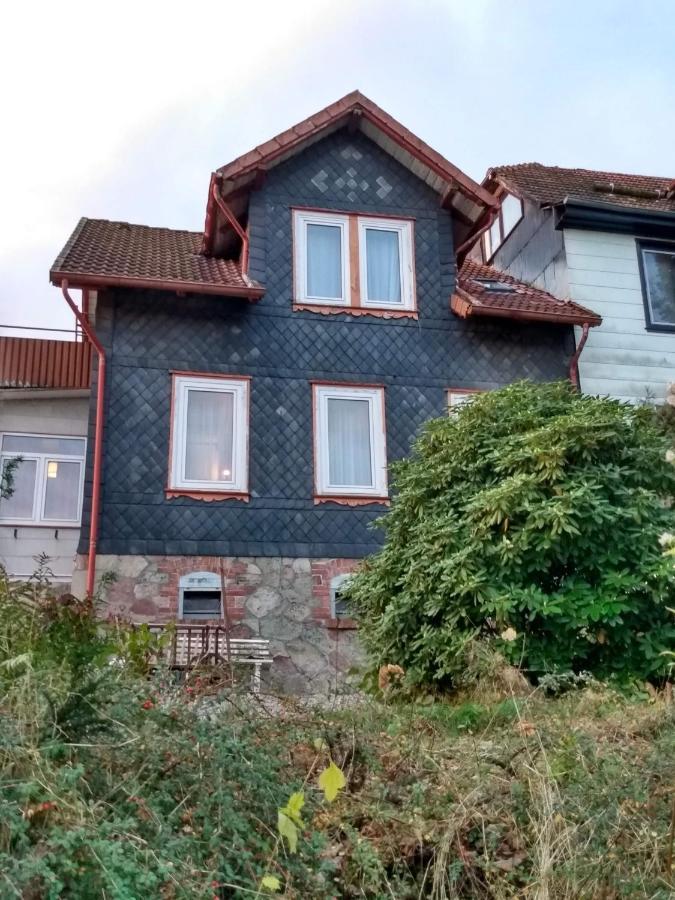 巴特萨克萨Vakantiehuis Julia别墅 外观 照片